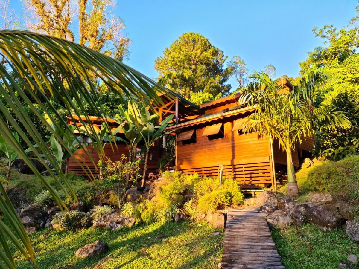 Les Bananes Vertes Ecolodges Saint-Claude Exterior photo