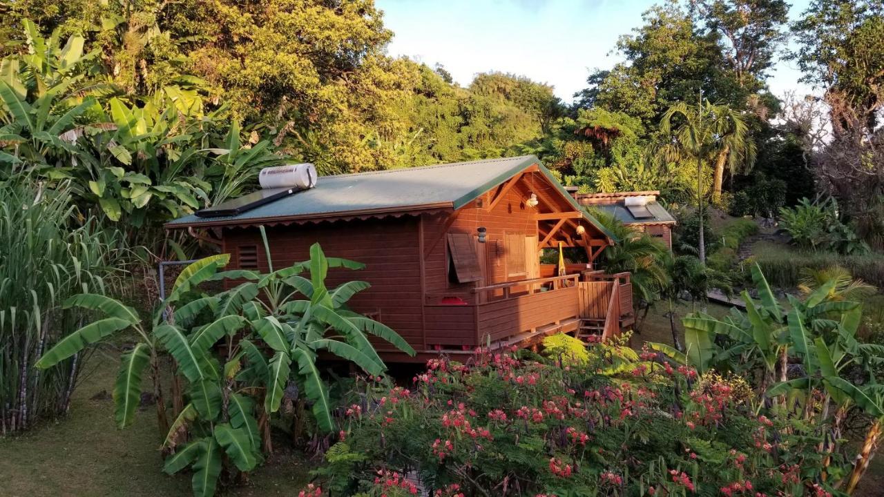 Les Bananes Vertes Ecolodges Saint-Claude Exterior photo