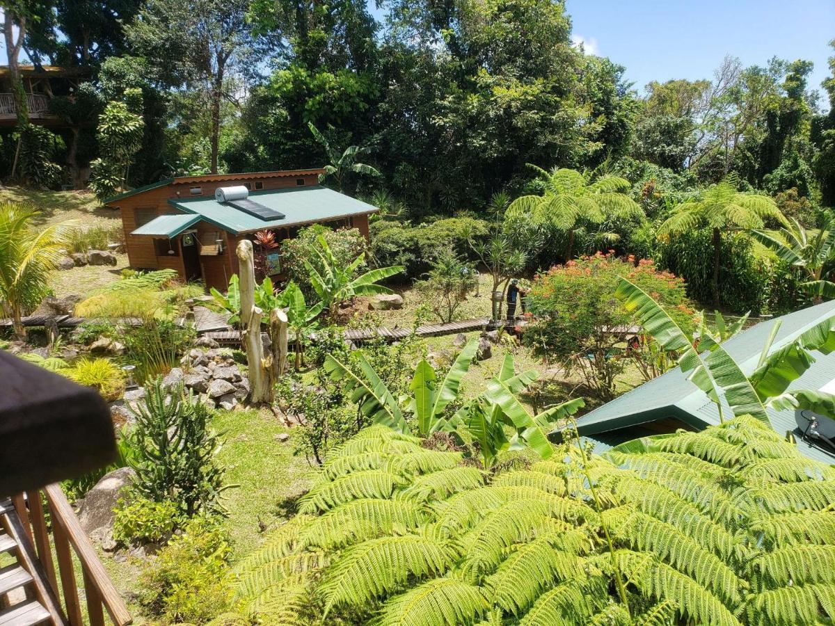 Les Bananes Vertes Ecolodges Saint-Claude Exterior photo