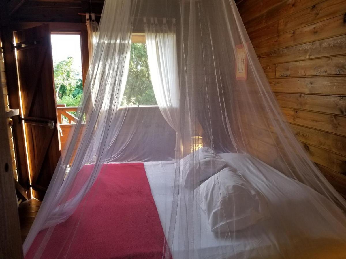 Les Bananes Vertes Ecolodges Saint-Claude Exterior photo