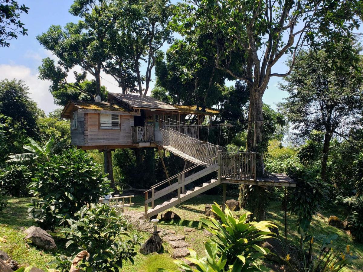 Les Bananes Vertes Ecolodges Saint-Claude Exterior photo