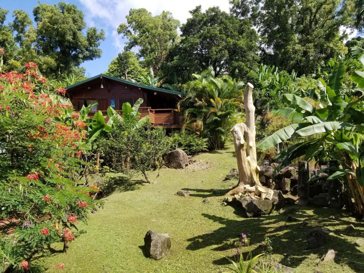 Les Bananes Vertes Ecolodges Saint-Claude Exterior photo