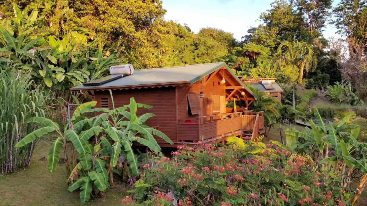 Les Bananes Vertes Ecolodges Saint-Claude Exterior photo