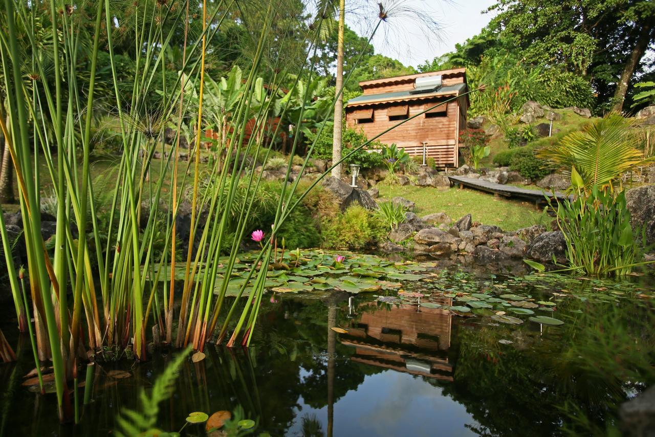 Les Bananes Vertes Ecolodges Saint-Claude Exterior photo